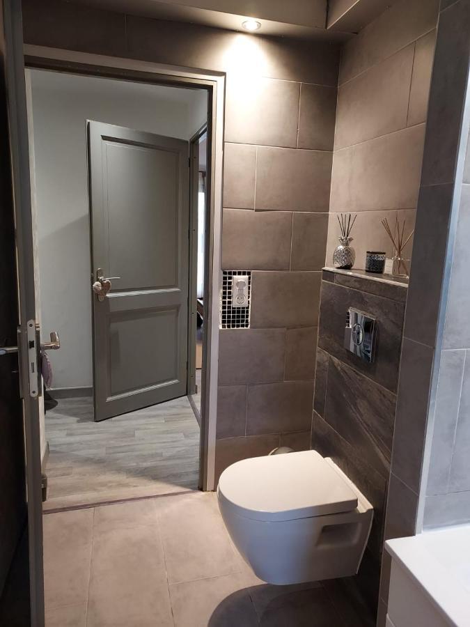 Residence Du Vieux Chateau Jardin & Parking Gratuit Miluza Zewnętrze zdjęcie